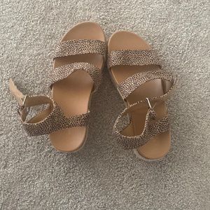 Universal Thread platforms